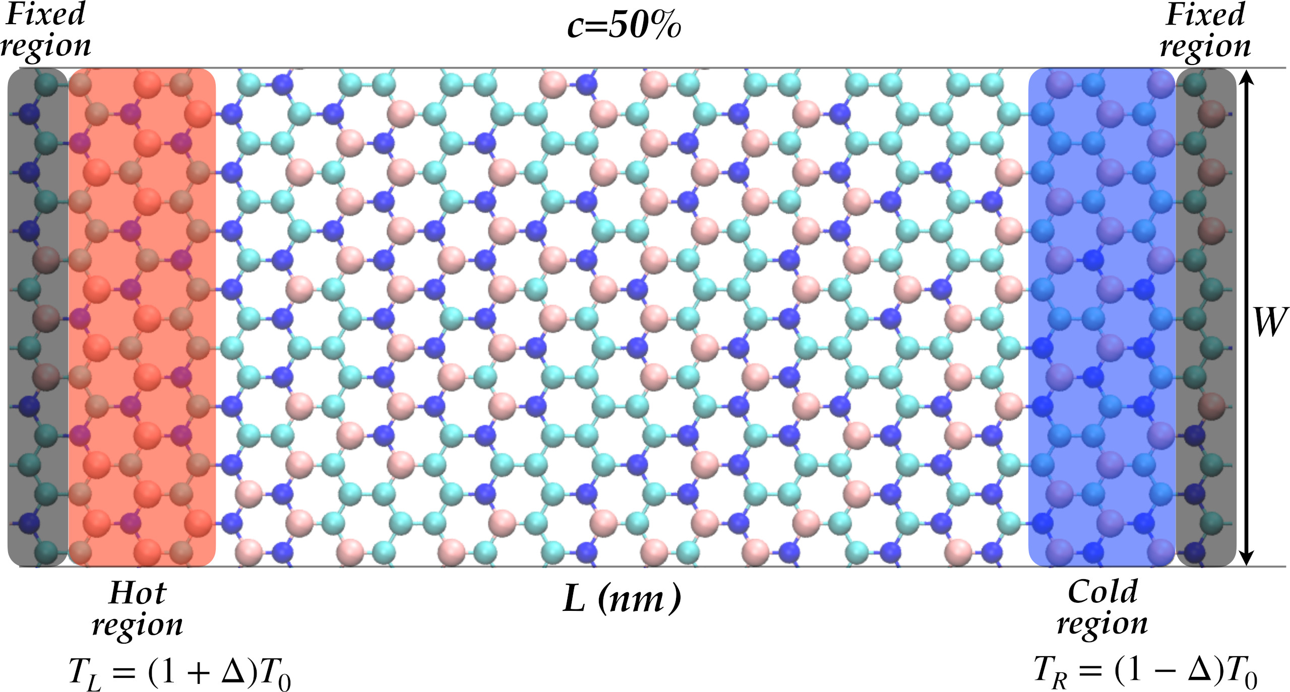 Schematic representation of thermal transport setup for B-C-N monolayer at 50\% of carbon concentration. For all concentrations, the dimensions are $L\approx$13nm, $W\approx$7.3nm, and the hot or cold region $\approx$3.3 nm. The pink, cyan, and blue balls correspond to the B, C, and N atoms, respectively.